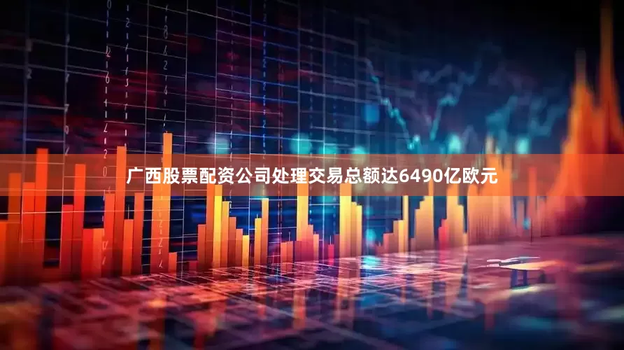广西股票配资公司处理交易总额达6490亿欧元